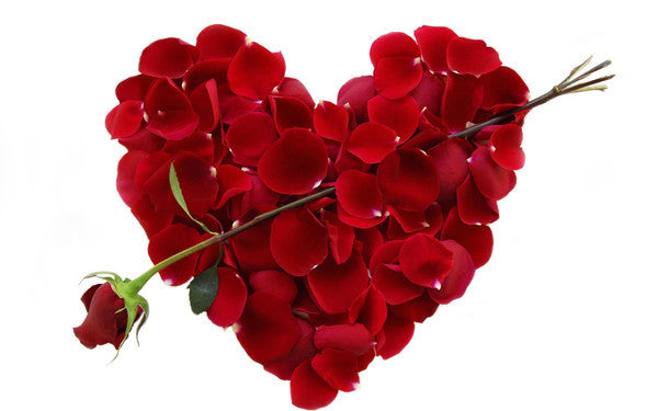 VALENTINE COLLECTION 2016