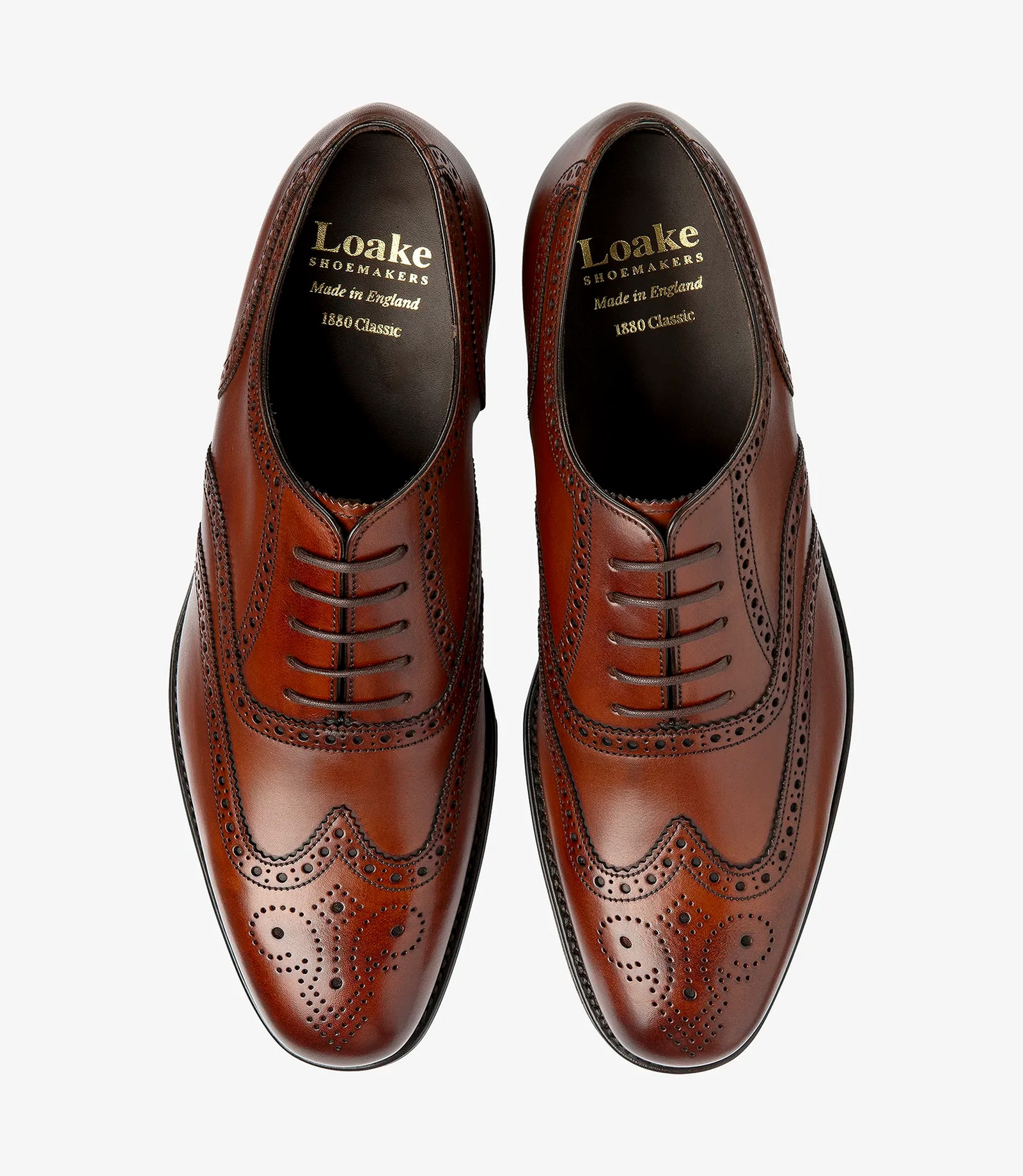 LOAKE Buckingham Oxford Brogue - Brown (F-Fitting)