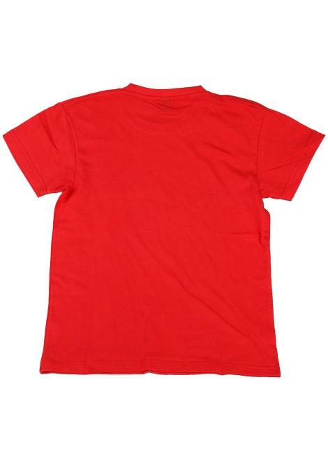 Disney PLANES children's T shirt - DUSTY - Ninostyle