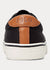 Polo Ralph Lauren-Thornton Canvas Sneakers- Black
